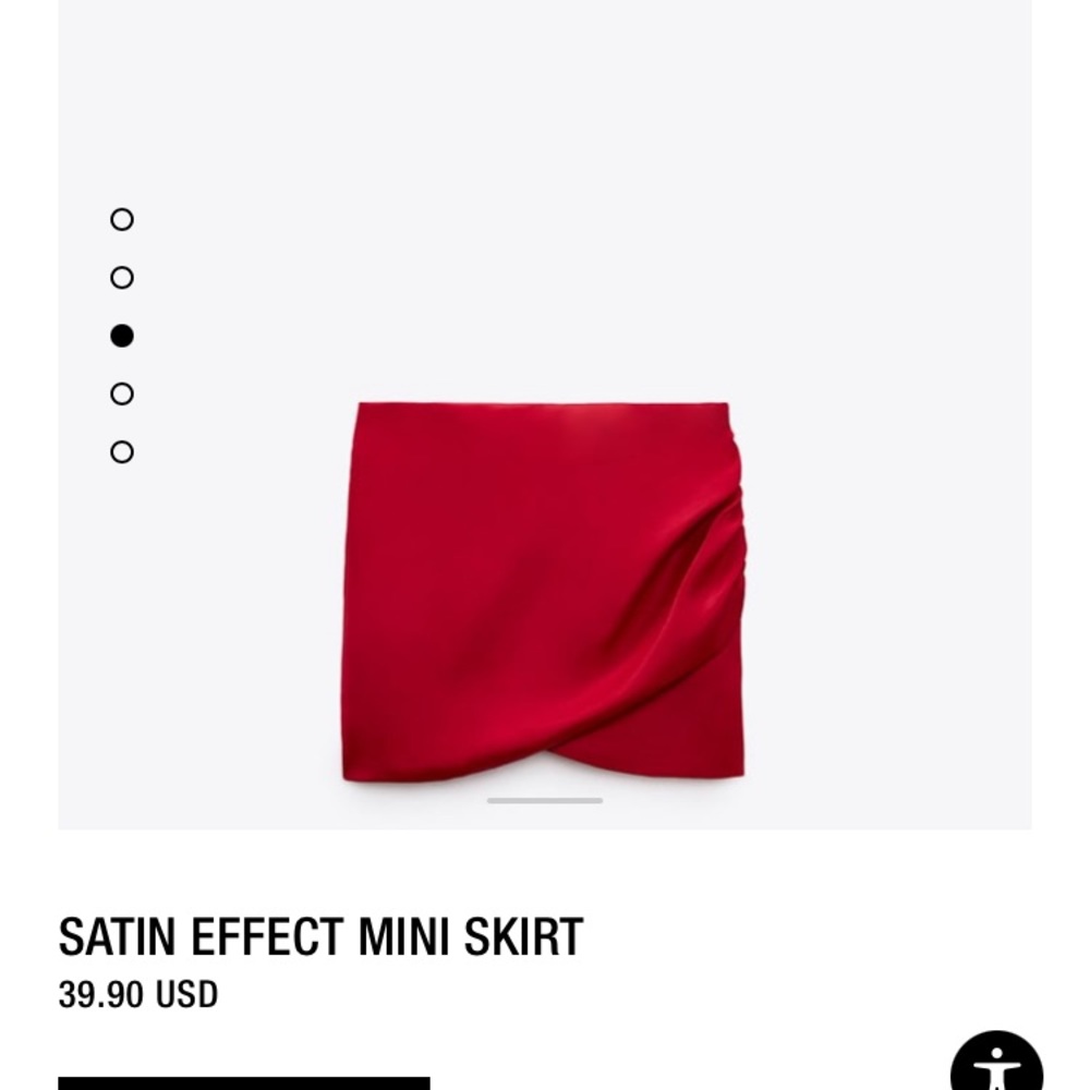 Zara Skirt